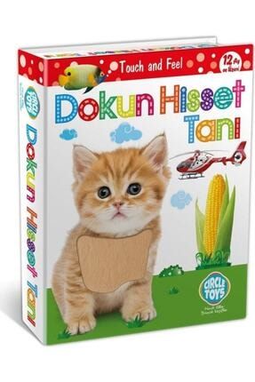 Circle Toys Dokun Hisset Tanı Touch And Feel HYD-158290-3380