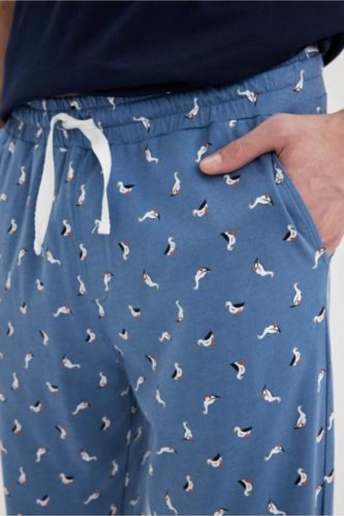 DeFacto-Gemusterte Pyjamahose mit Taschen in normaler Passform B7252ax24sp 4