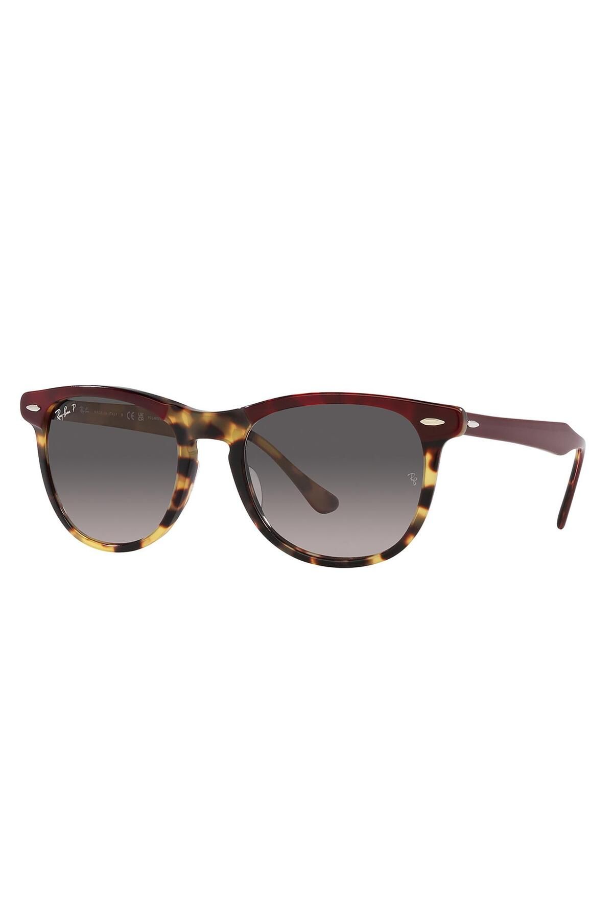 عینک آفتابی ری بن Ray-Ban RB 2398 1377M3 53