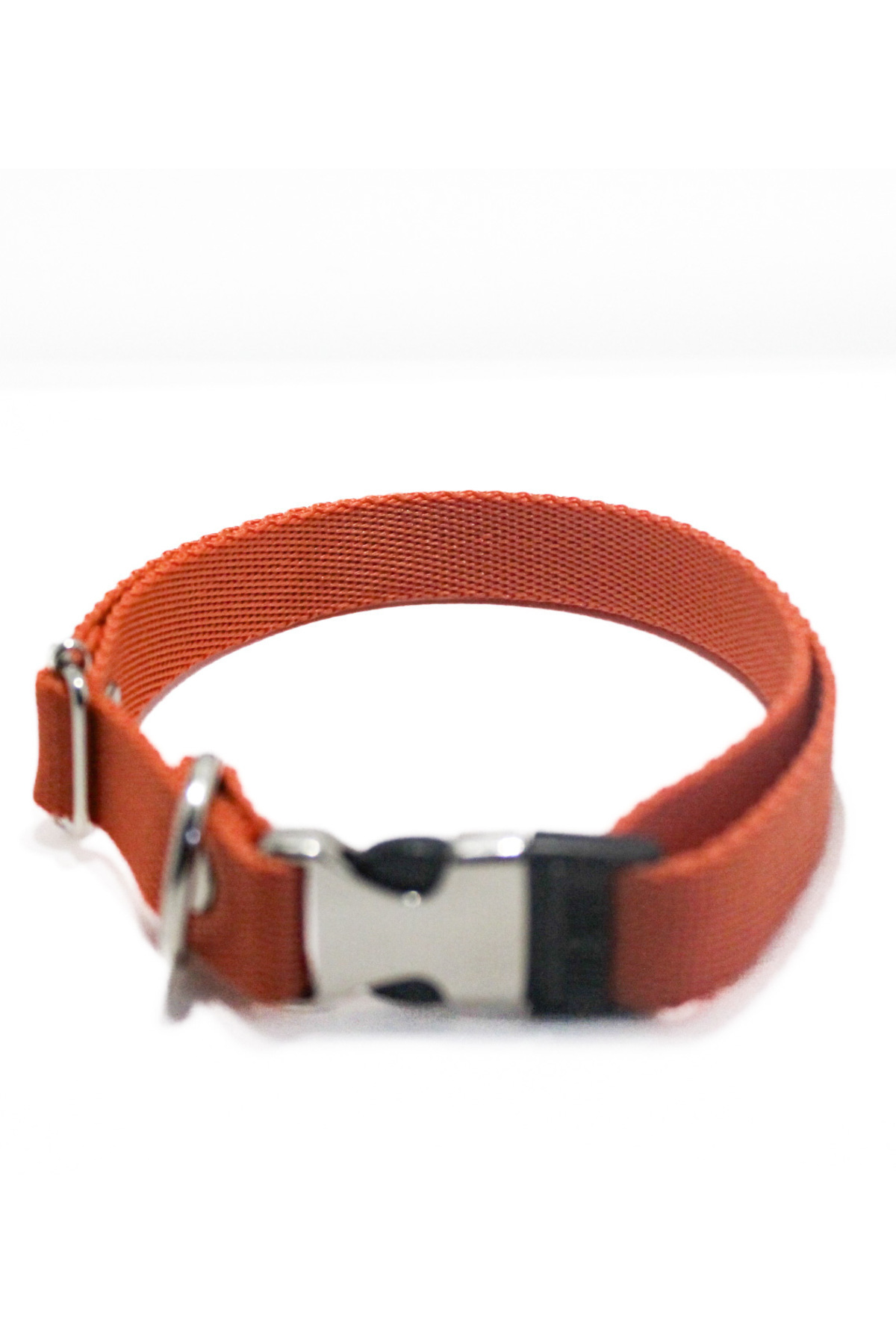 Küçük/büyük Köpekler Için Rahat Ayarlanabilir Turuncu Boyun Tasması - 2cm En Ölçülü Tasma