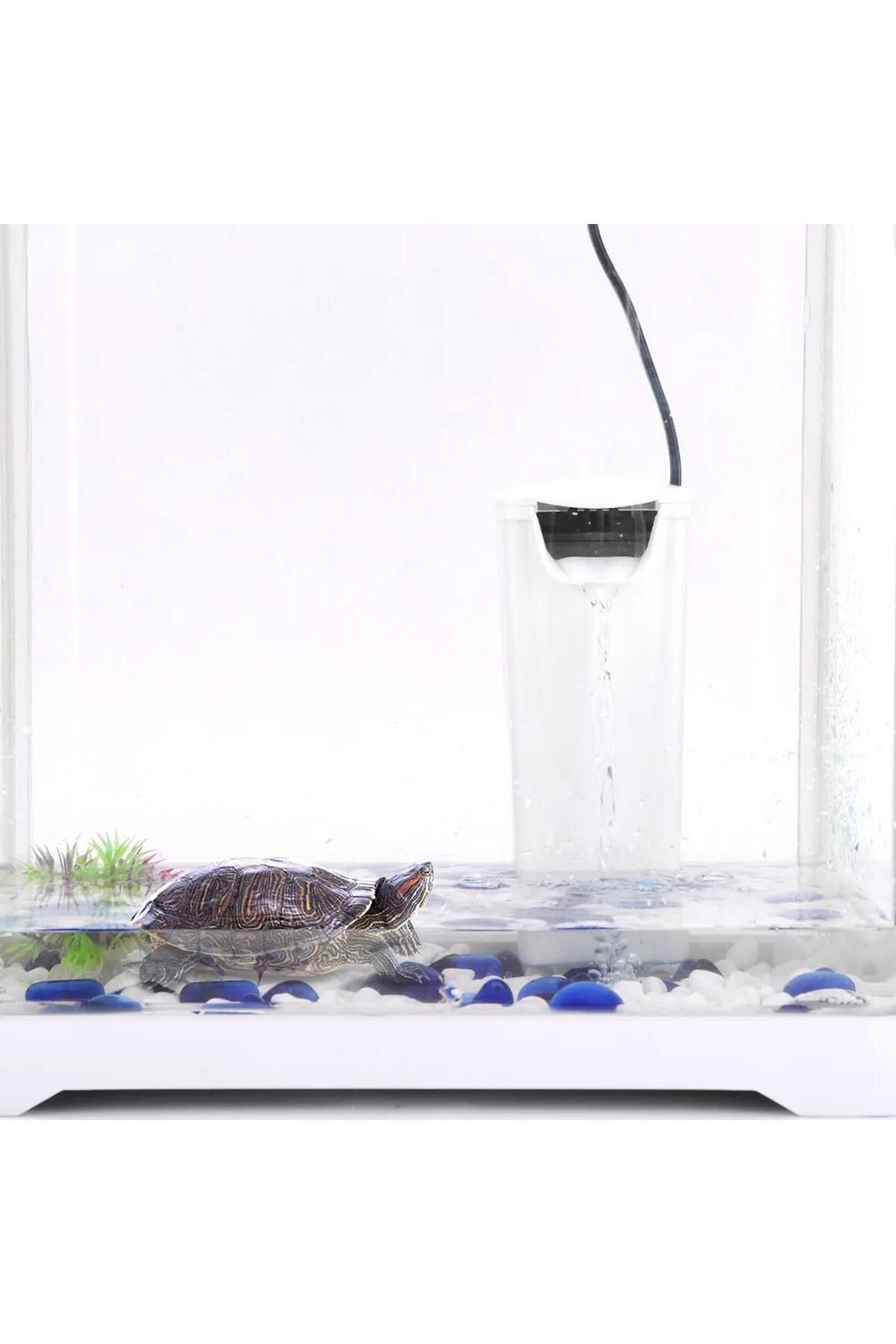 valkyrie-Aquarium Turtle Pool Filter 3w 200l for Low Water Level 6