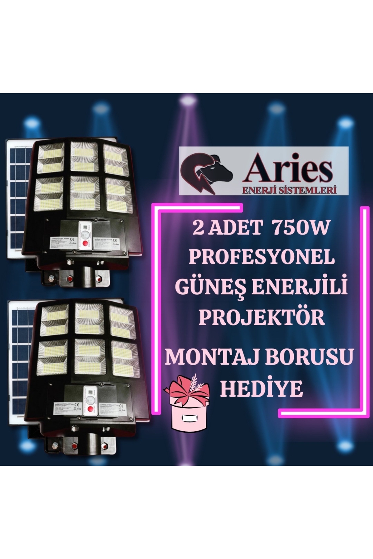 ARİES ENERJİ 2 ADET 750W GÜNEŞ ENERJİLİ PROFESYONEL ARMATÜR