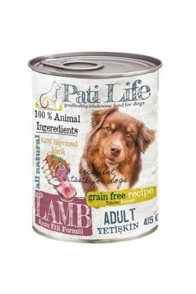 Igrenme Usulsuzlukler Yani Aro Kopek Mamasi Proxystash Org