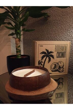 Very Big Coconut Soya Mum BVBC01