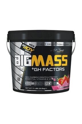 Bigjoy Bigmass Gh Factors Karbonhidrat Tozu 5000 gr - Çilek BİGJOY012