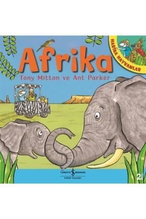 Afrika - Harika Hayvanlar (karton Kapak) 9786254052460