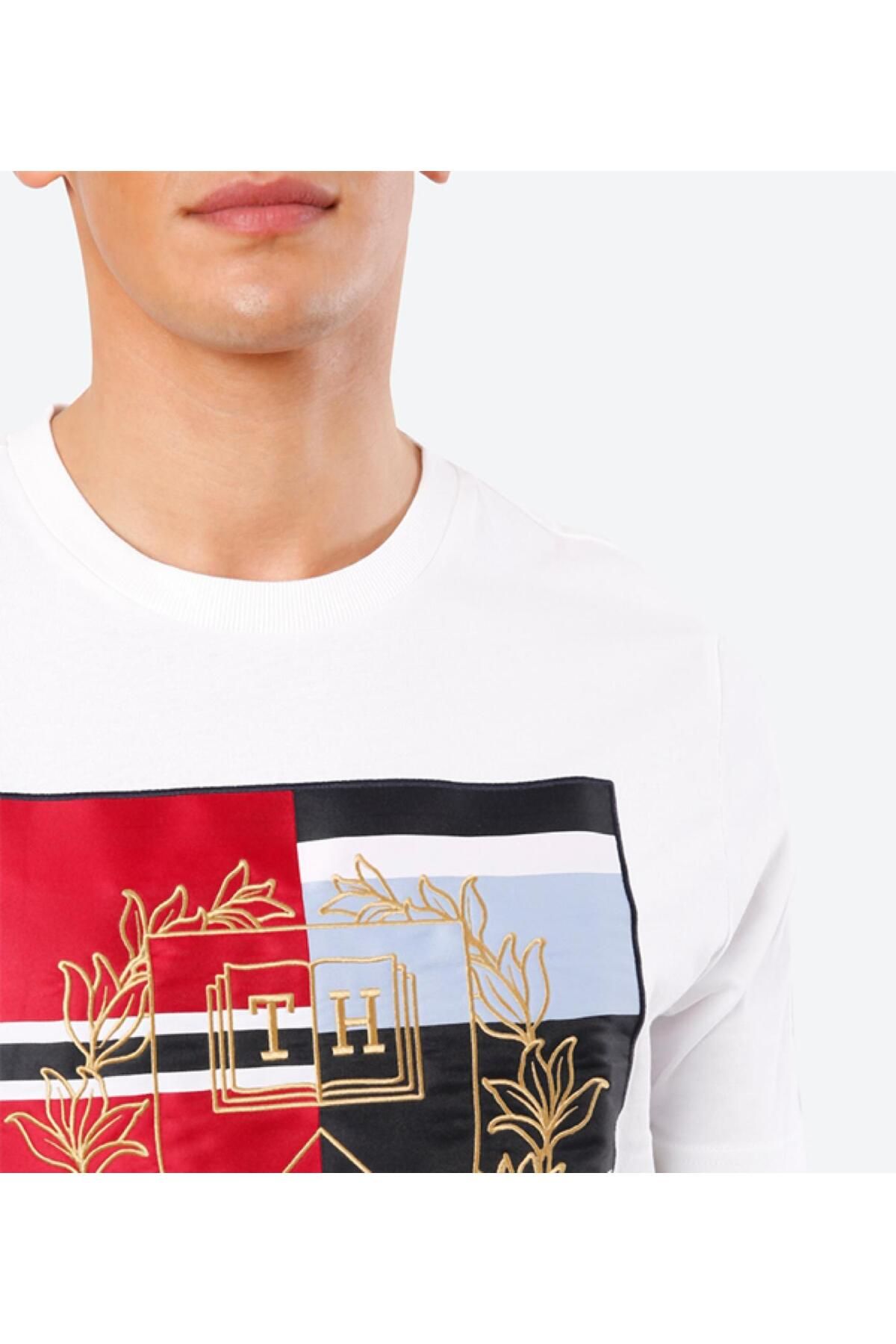 T shirt tommy hilfiger men 2025