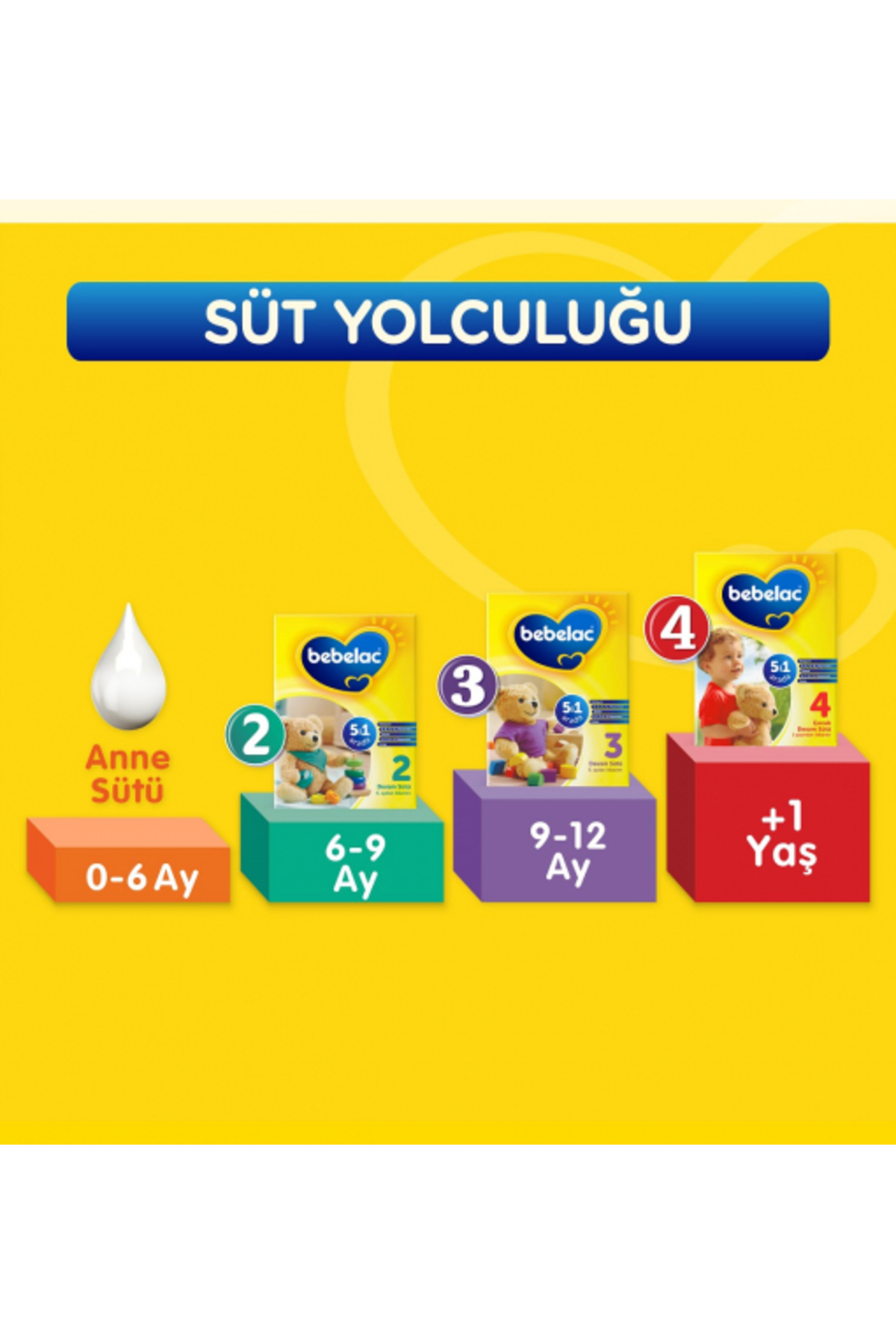 Bebelac 2 Devam Sütü 800 gr 4'lü Paket fotoğrafı 5 (önizleme)