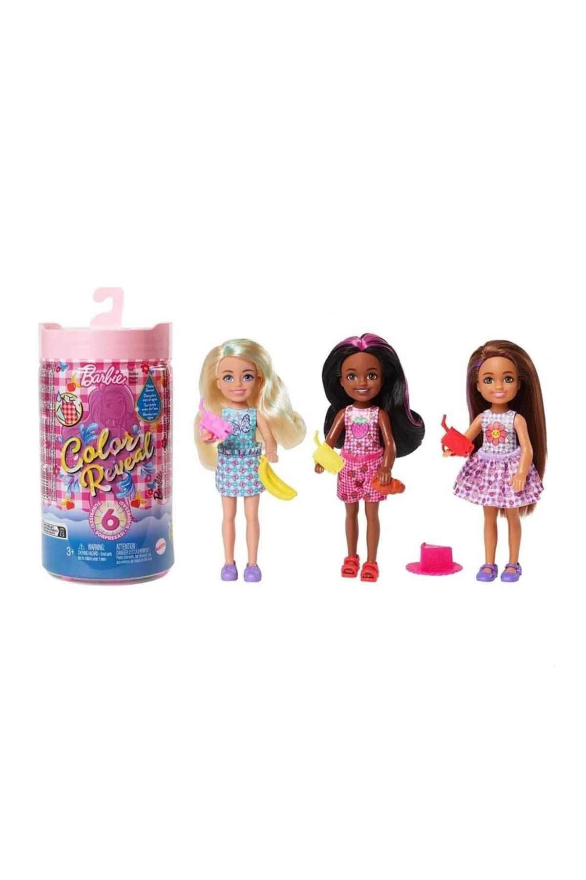 Barbie シリコンマット Barbie Color Reveal Renk Değiştiren Sürpriz Chelsea Piknikte HLF84
