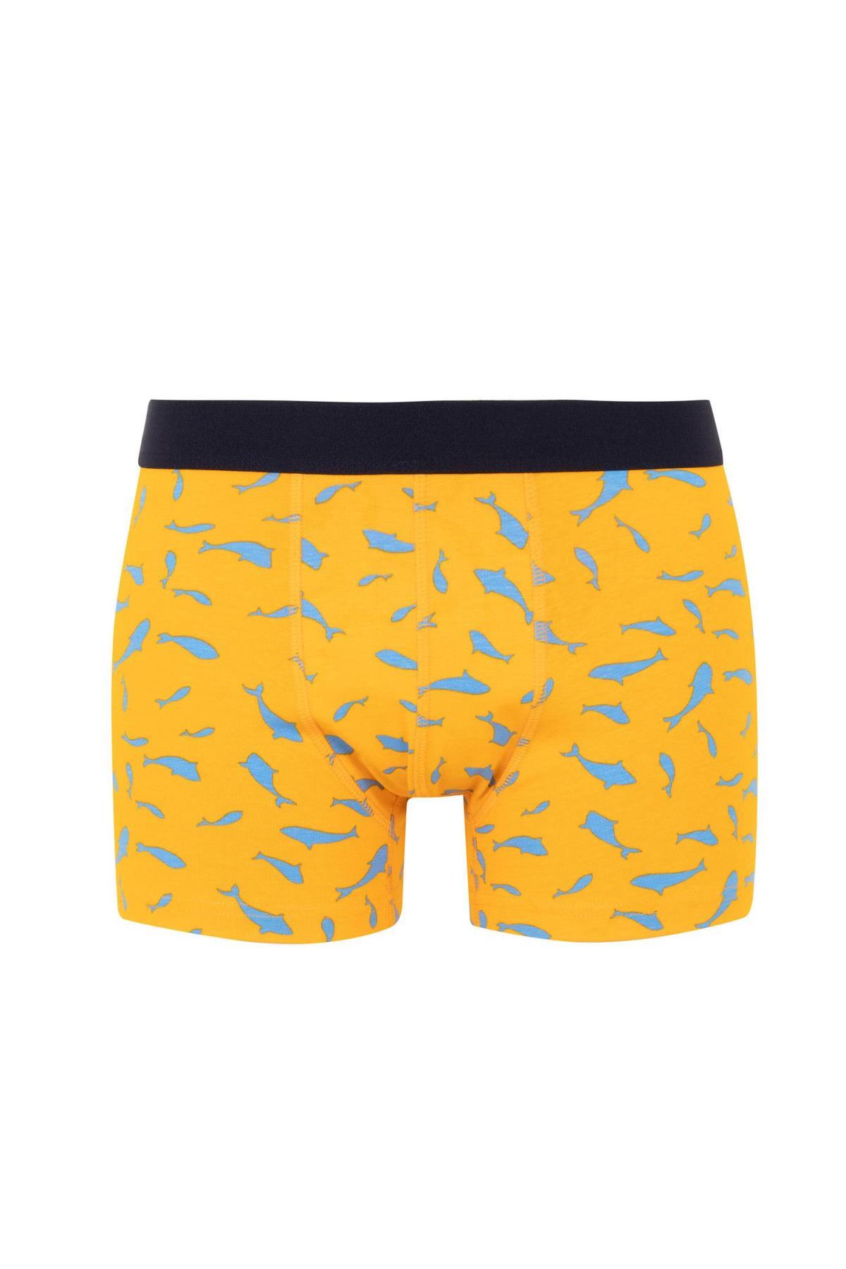 باکسر مردانه دفاکتو | B7185AX24SM Defacto - Image 7