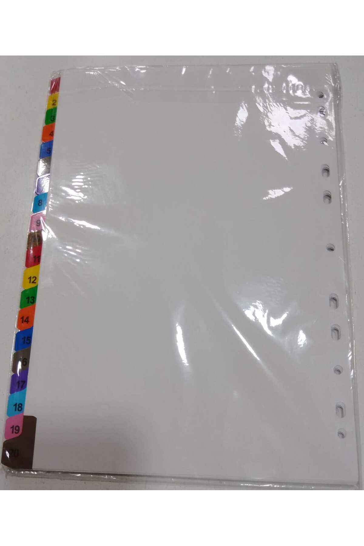 Globox Yayınları MYLAR İNDEX KLASÖR KULLANIMI İÇİNDİR Ayraç ve Seperatör 20li Çok renkli