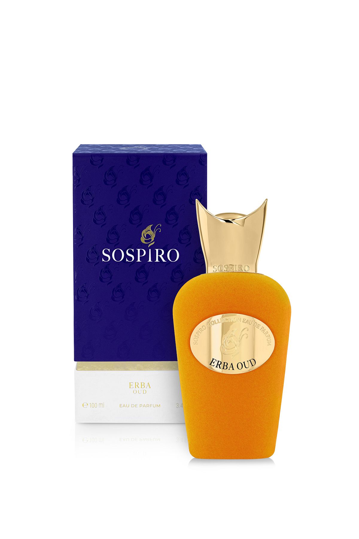 Erba Oud EDP 100 ml Unisex Parfüm