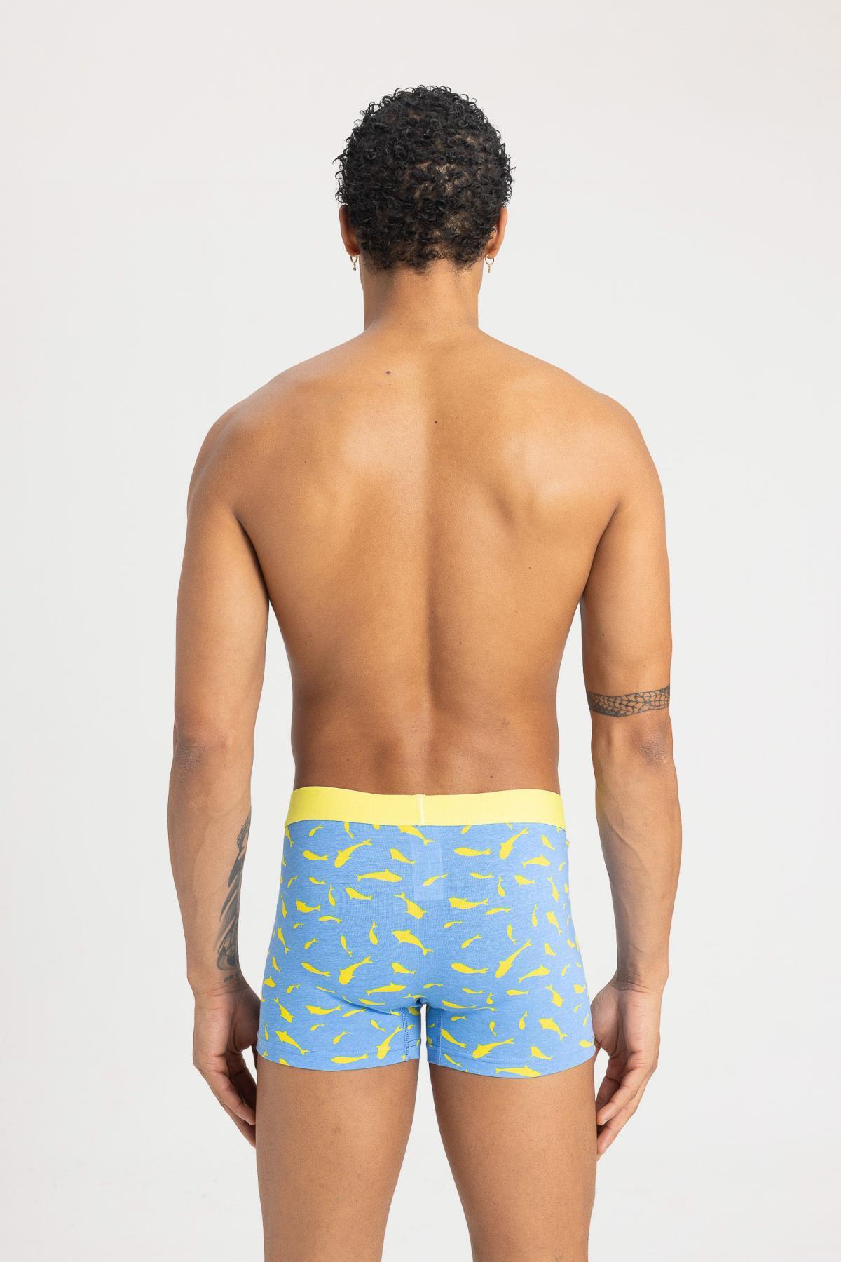 باکسر مردانه دفاکتو | B7185AX24SM Defacto - Image 4