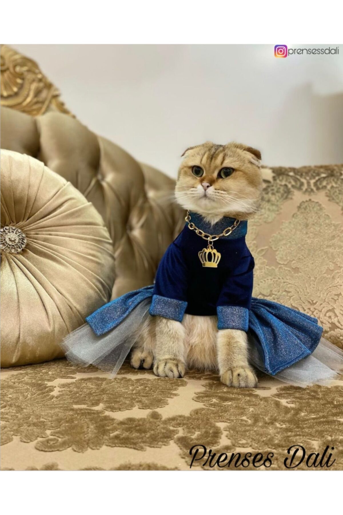 Kedi Köpek Simli Kadife Tütü Elbise