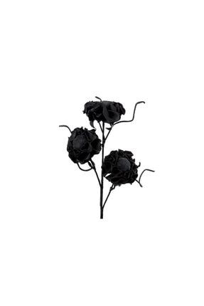 Blk Siyah 3'lü Ayçiçekleri 7.012.STR.0274