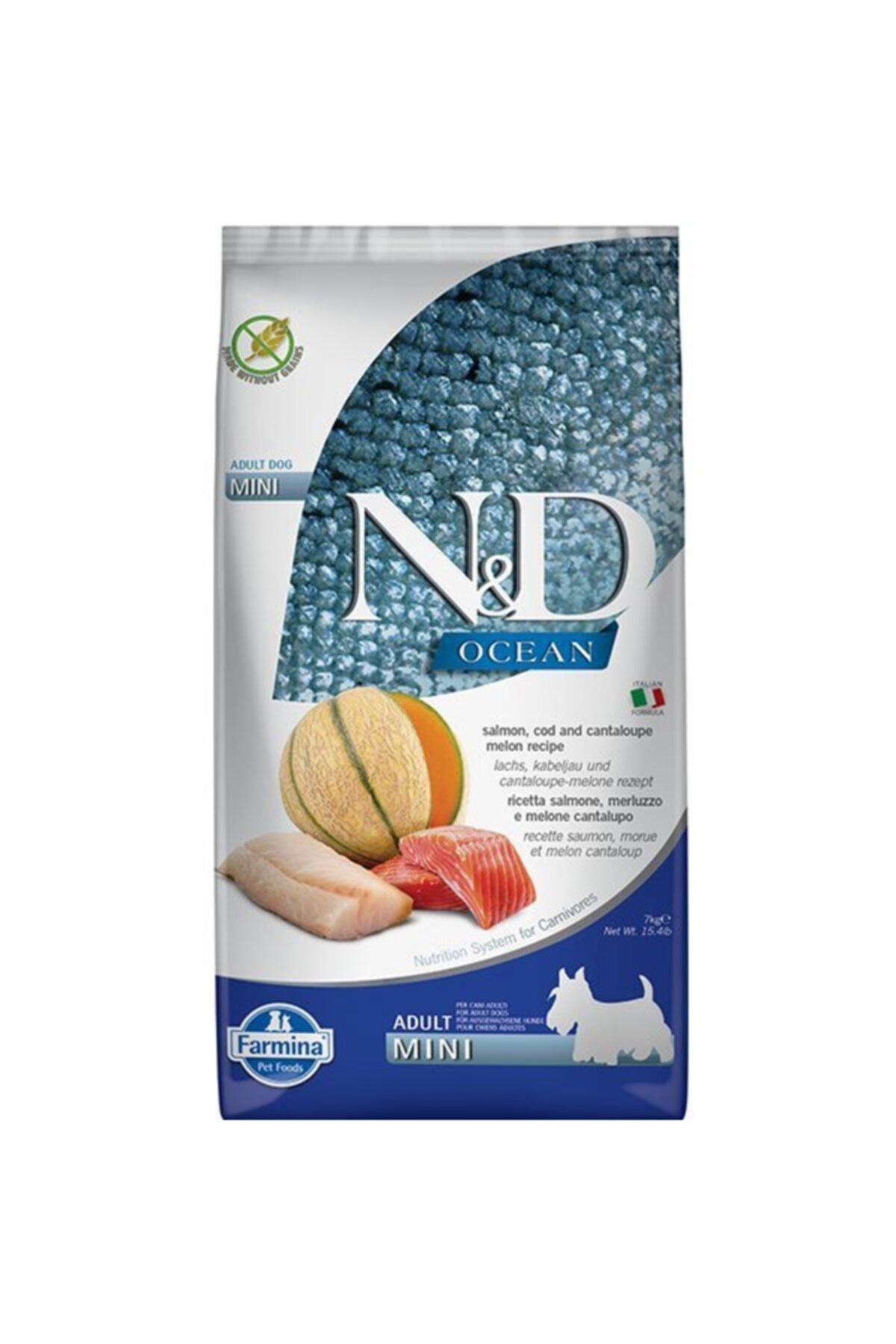 N&D Ocean Somon Ve Morina Balıklı Kavunlu Mini Yetişkin Köpek Balığı 7 Kg