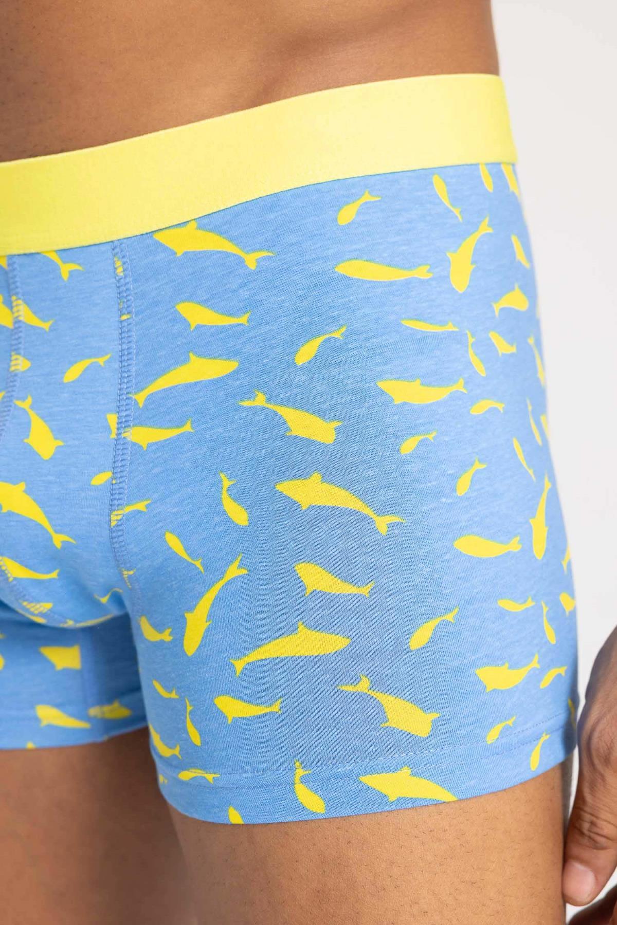 باکسر مردانه دفاکتو | B7185AX24SM Defacto - Image 3