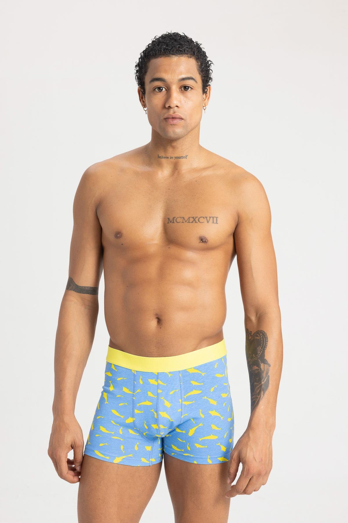 باکسر مردانه دفاکتو | B7185AX24SM Defacto - Image 2