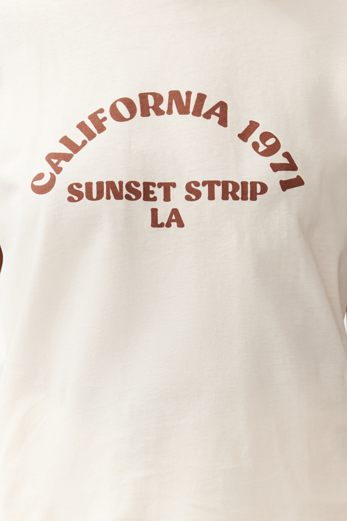 Trendyolmilla  Taş %100 Pamuk Slogan Baskılı Kontrast Biye Detaylı Örme T-Shirt TWOSS24TS00105 - Görsel 5