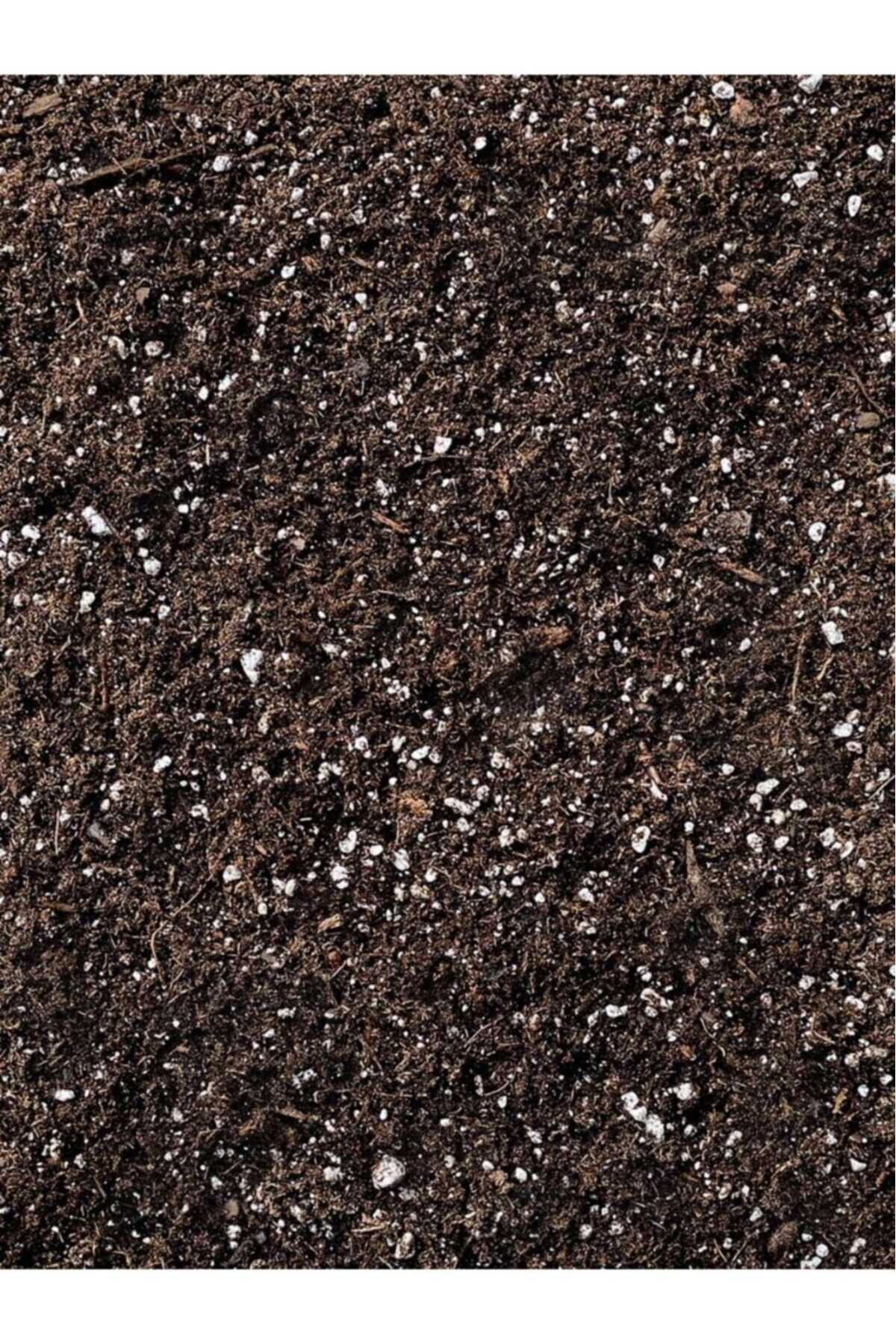 Dört Karışımlı Özel Bitki Toprağı İç Dış Mekan Kullanımına Uygun 10 LT 3