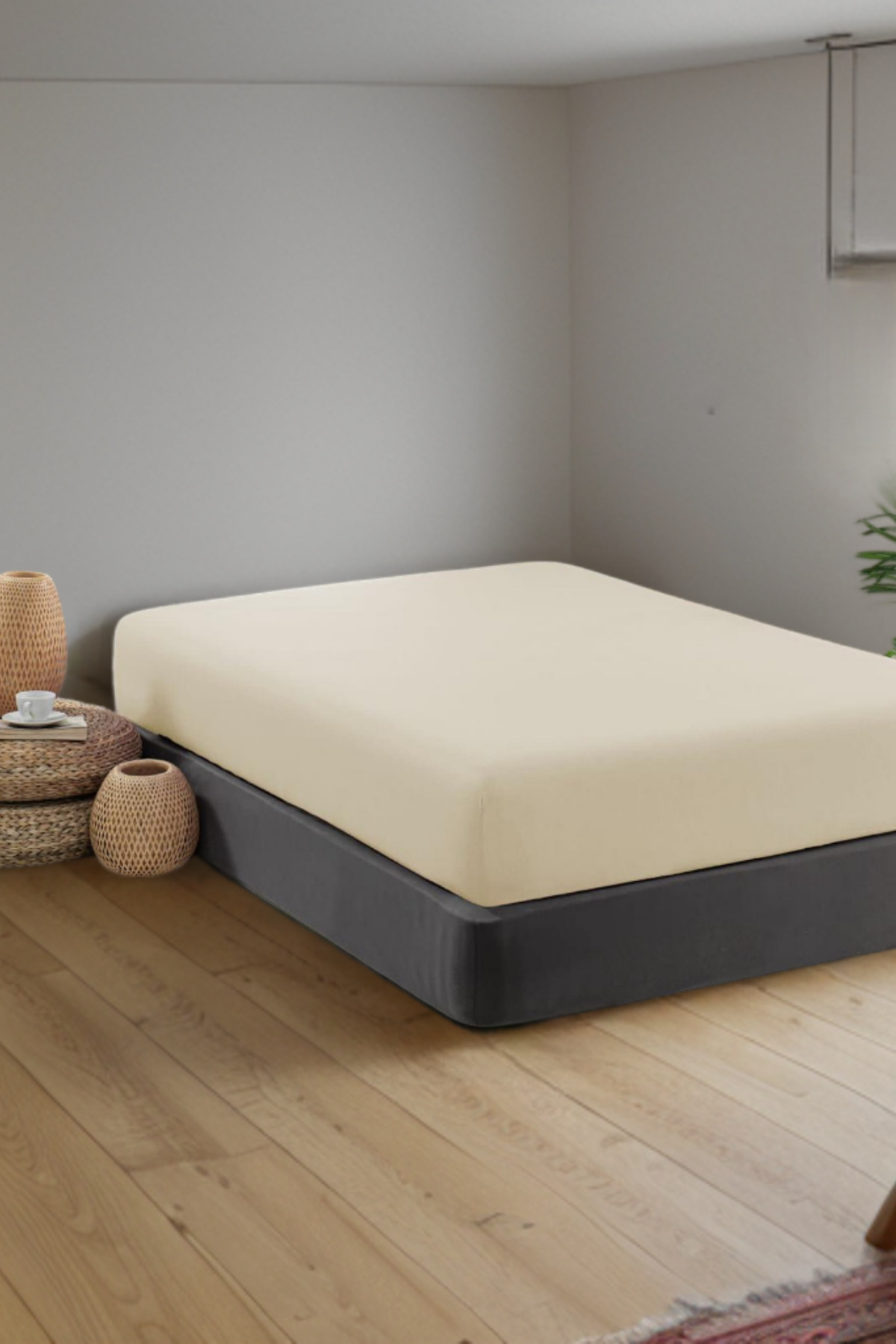 B2B Plus-Cotton Fitted Sheet| 3 Separate Sizes 2