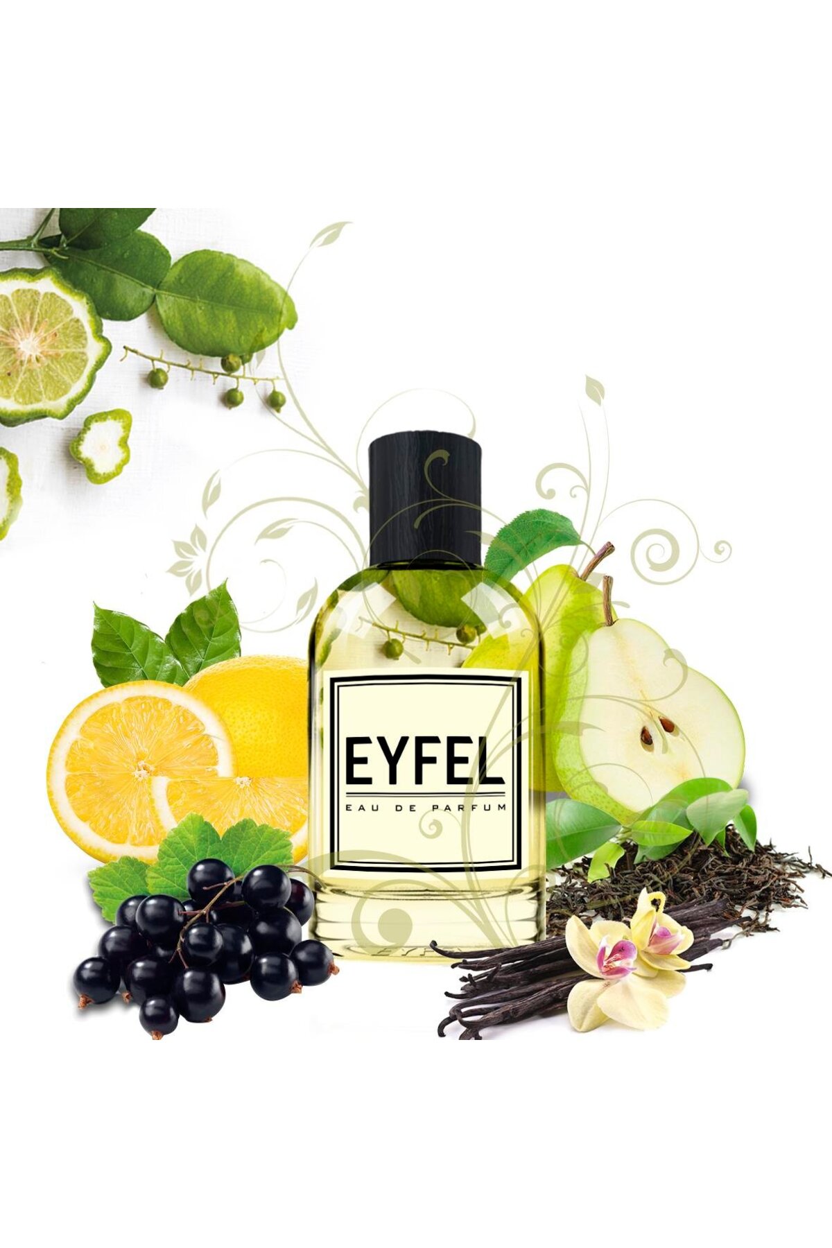 Eyfel Parfüm Eyfel Kadın Parfüm W245 50 ml Fiyatı, Yorumları - Trendyol