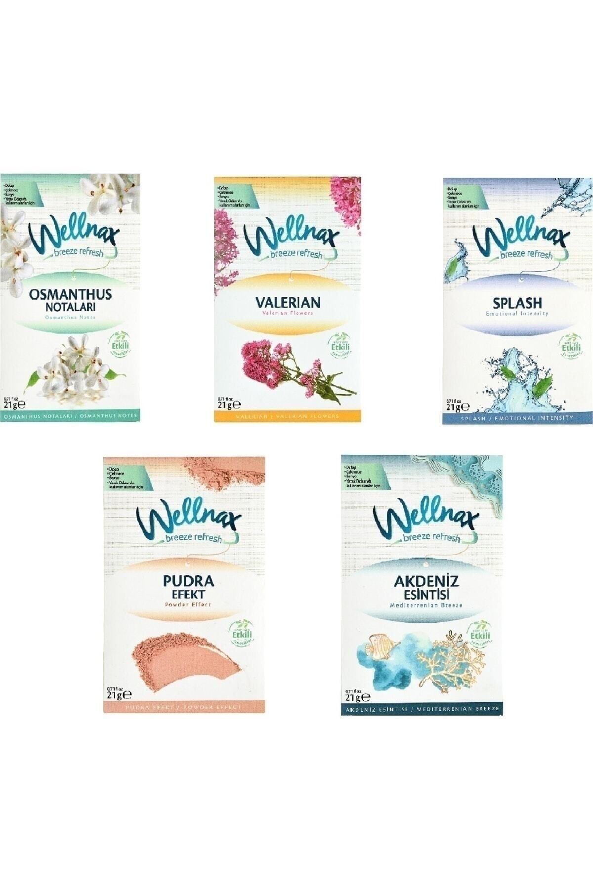 Wellnax Dolap Ve Cekmece Kokusu Mixed 5 Adet