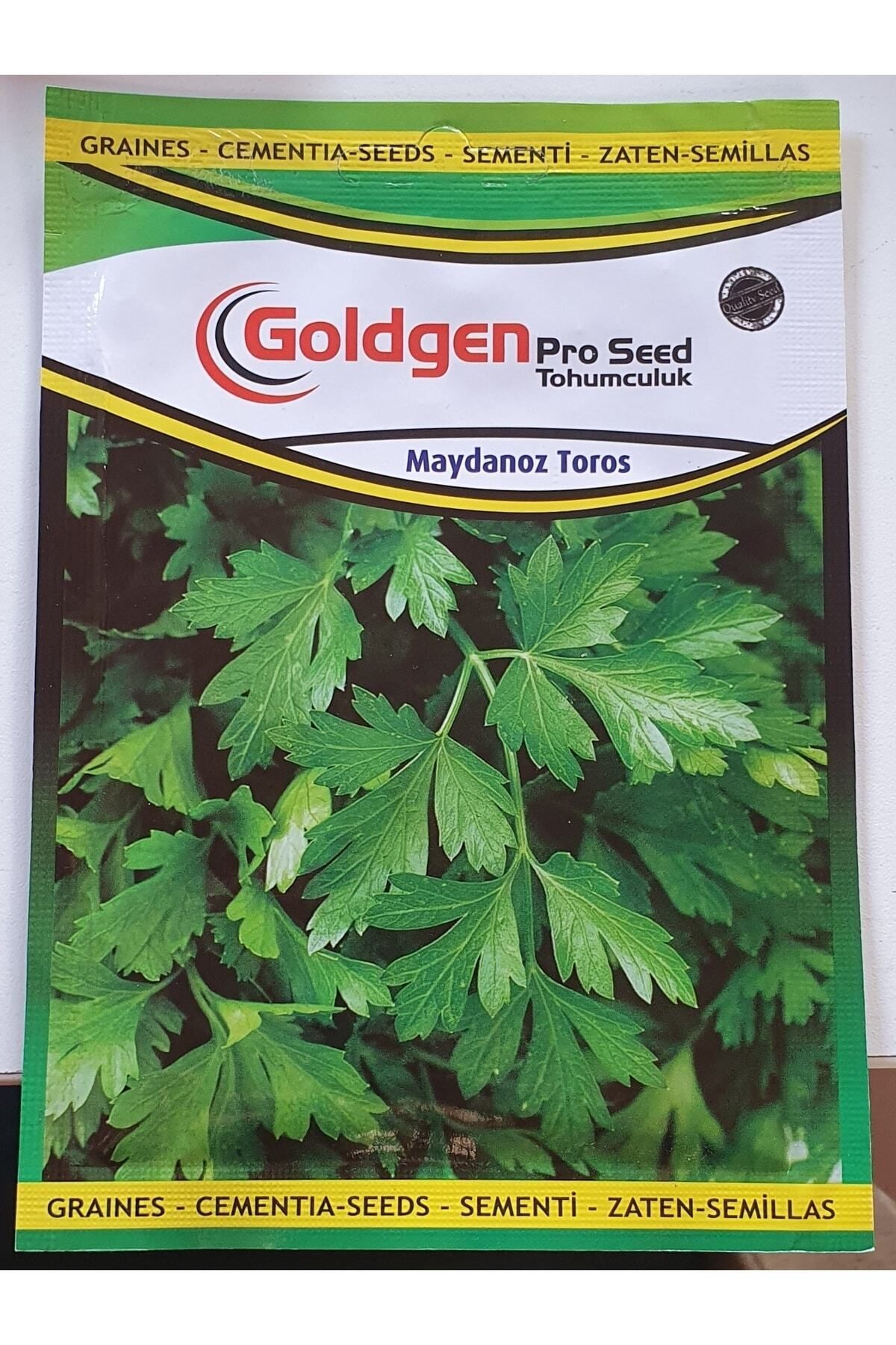 Goldgen Maydanoz Tohumu