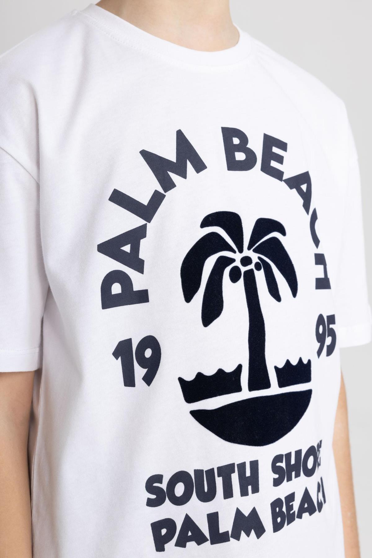 تی شرت پسرانه دفاکتو | B8893A824SM Defacto - Image 8