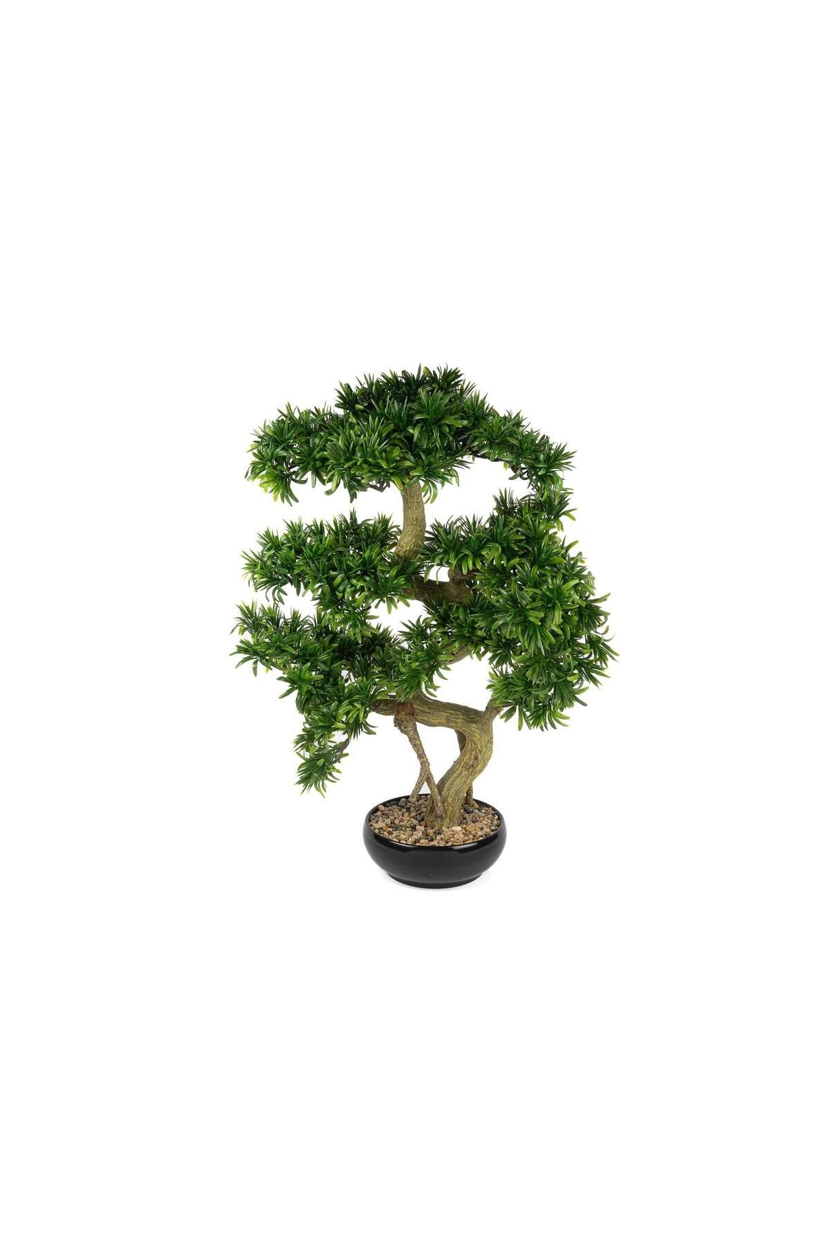 Mikasa Moor Podocarpus Искусственное дерево бонсай 56x66см P360.803690