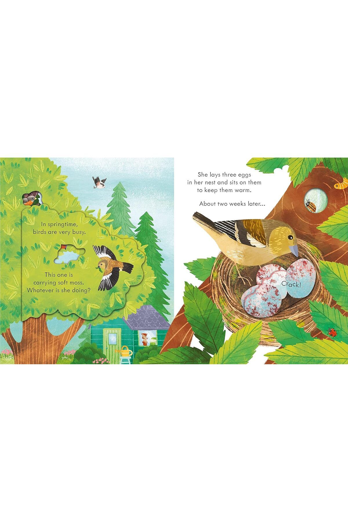 Usborne-Peep Inside Springtime 3
