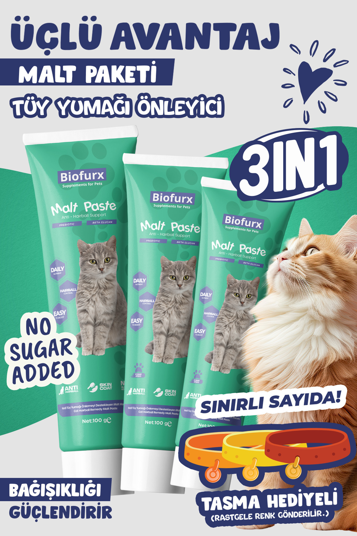 Biofurx Kedi Malt Macunu 3’lü Set 3x100g | Tüy Yumağı Önleyici Macun | Tamamlayıcı Yem | Tasma Hediyeli