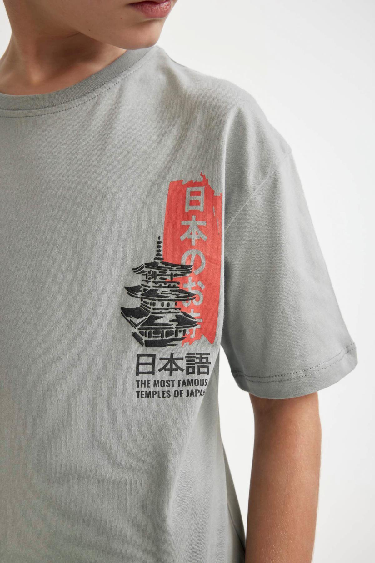 تی شرت پسرانه دفاکتو | C3168A824SM Defacto - Image 5