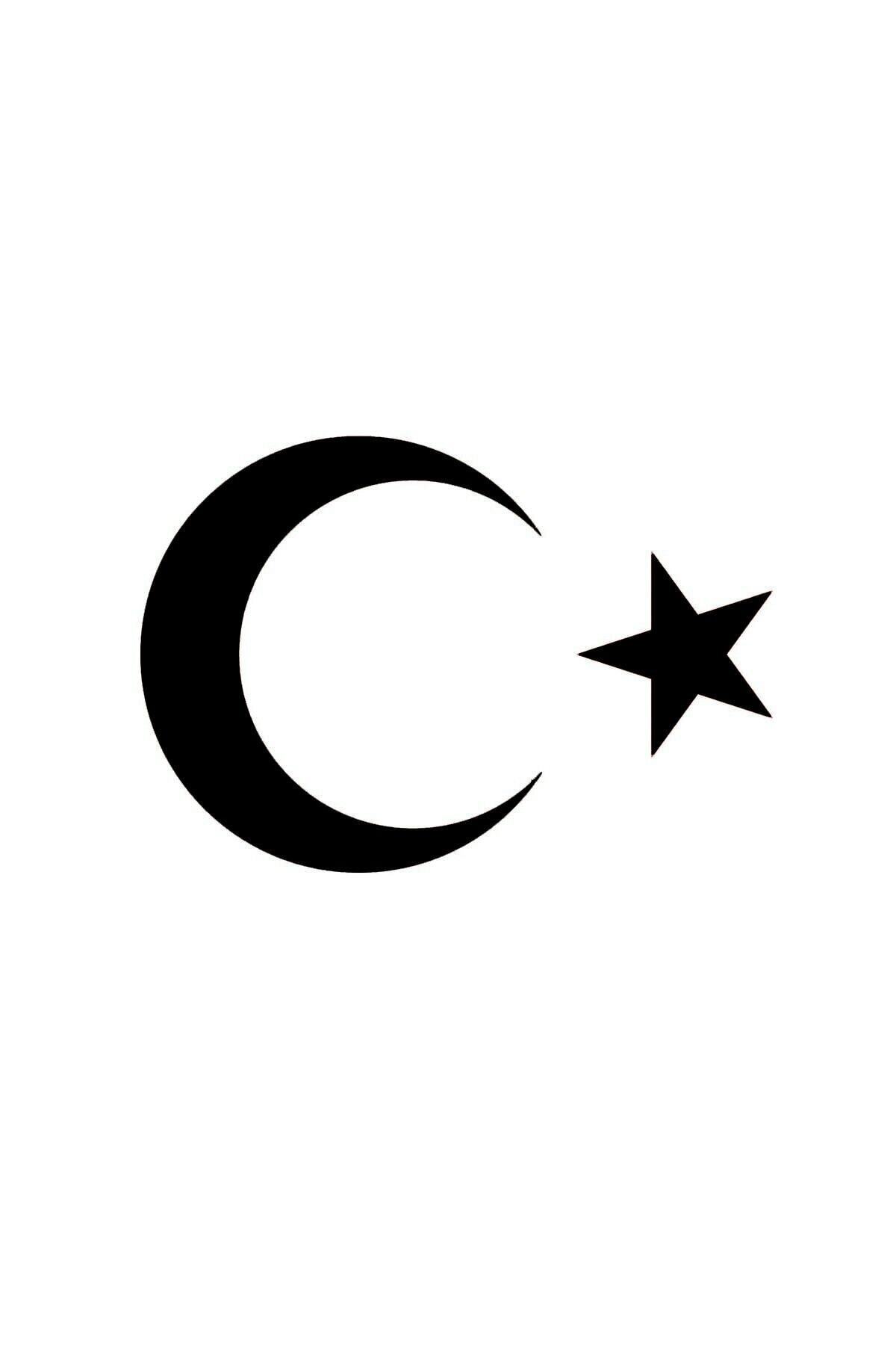 GD Life Moon Star Auto Motor Laptop Wall Foil Sticker 30x18 Cm Trendyol