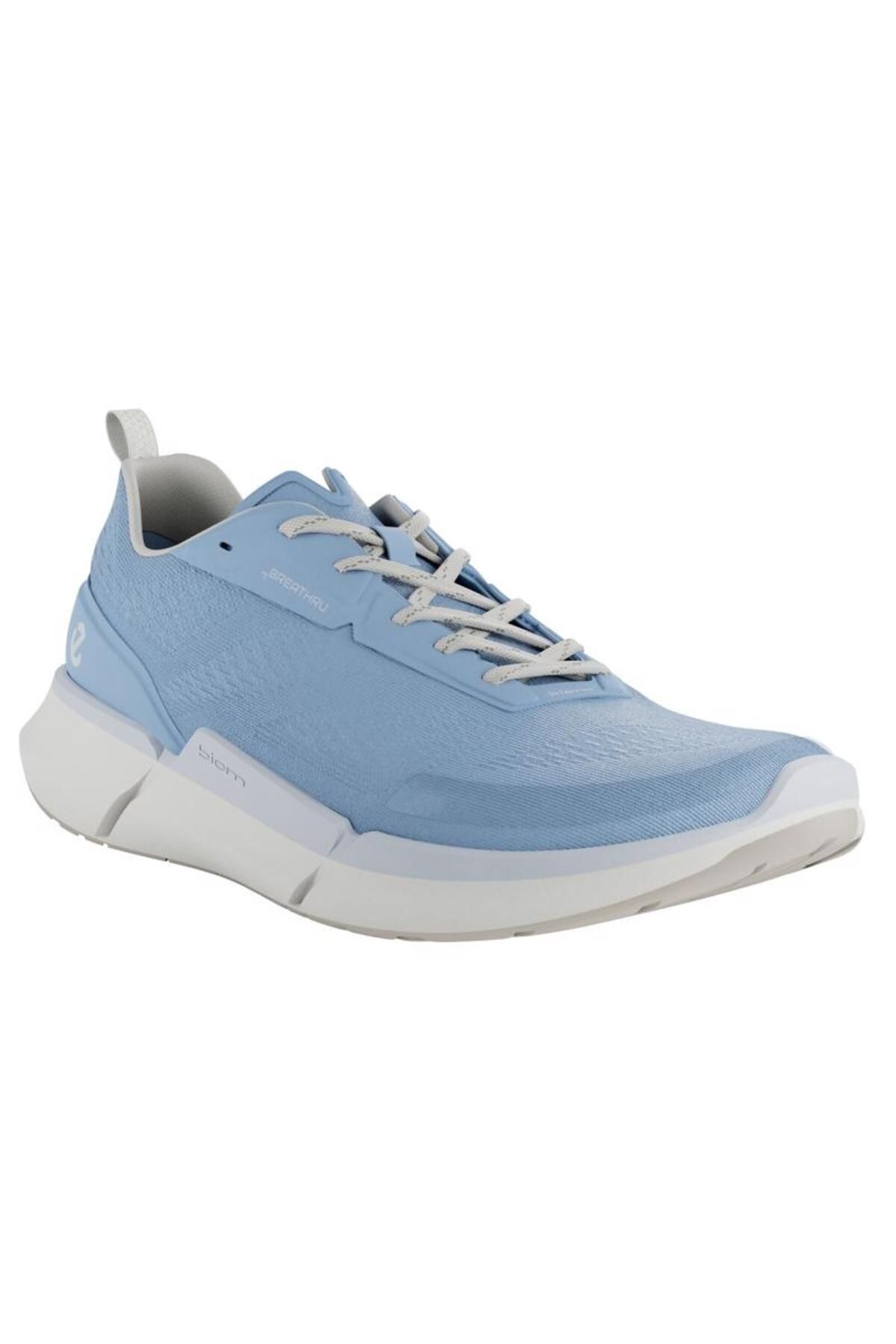 Ecco 2.2