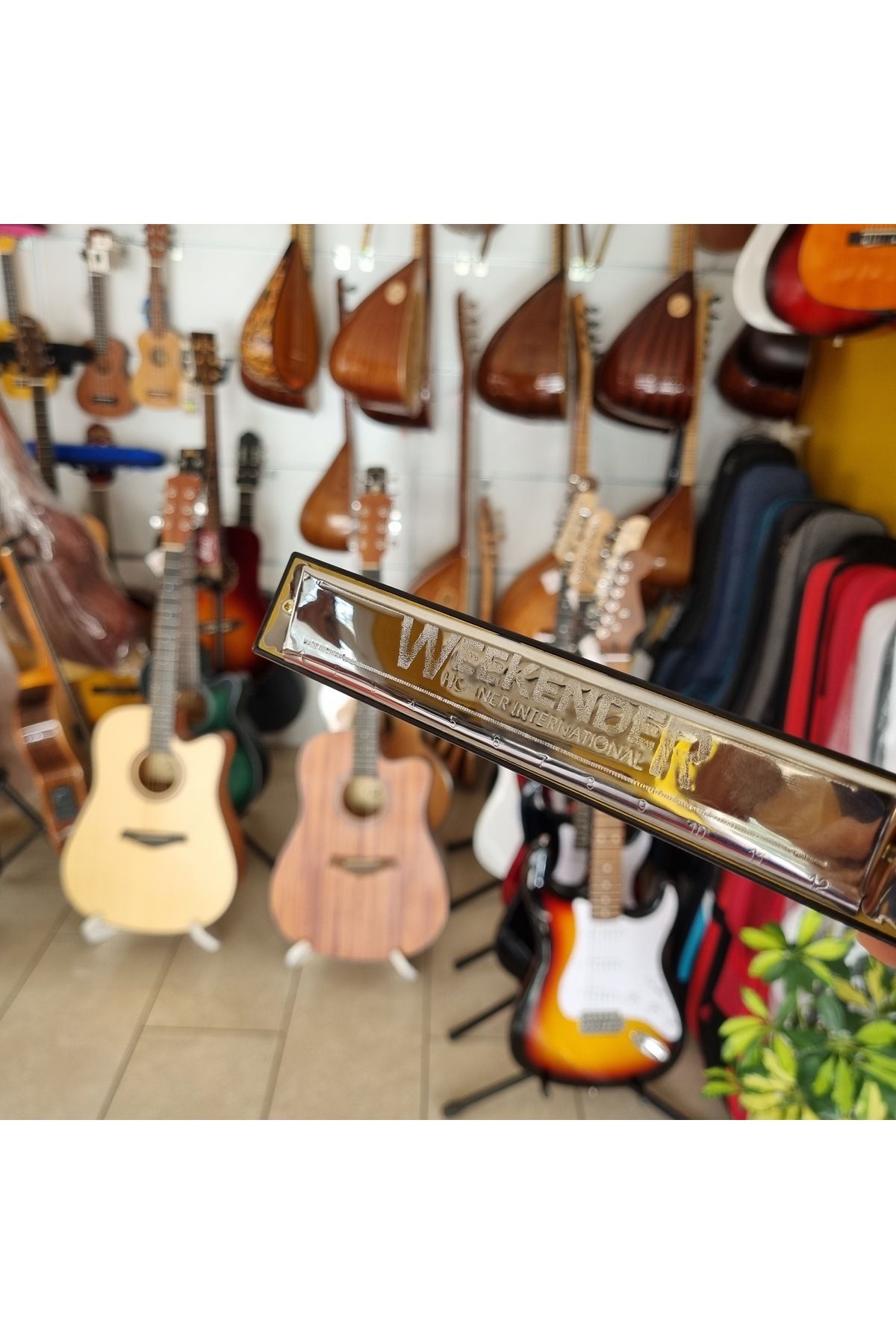 Hohner Mızıka (24 DELİKLİ)
