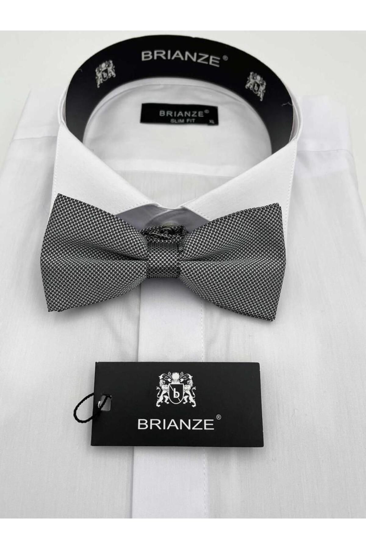 Brianze-Gray Bow Tie TP-18 1