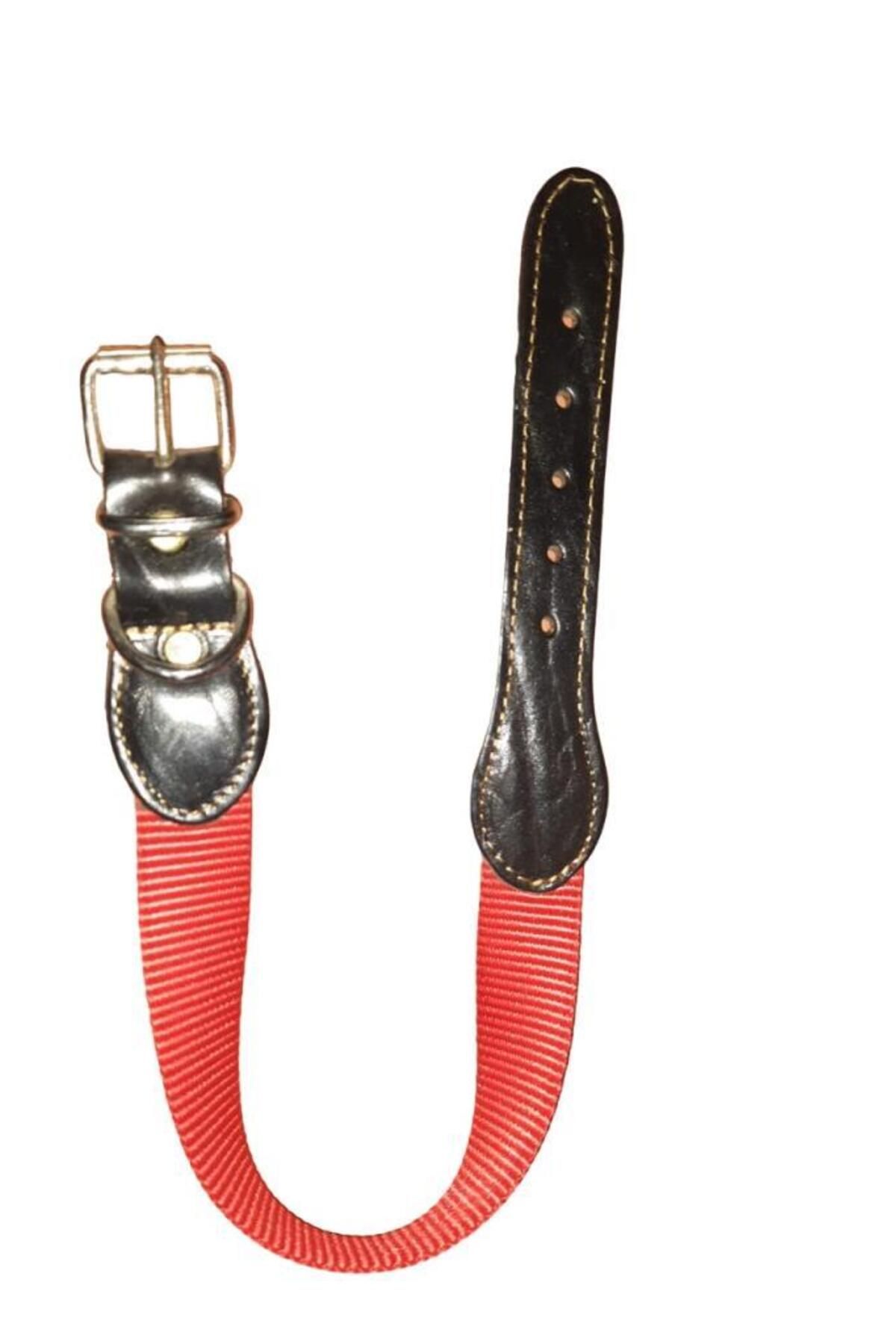 Lovely-Dog Neck Leash 2.5cm-56cm RED 1