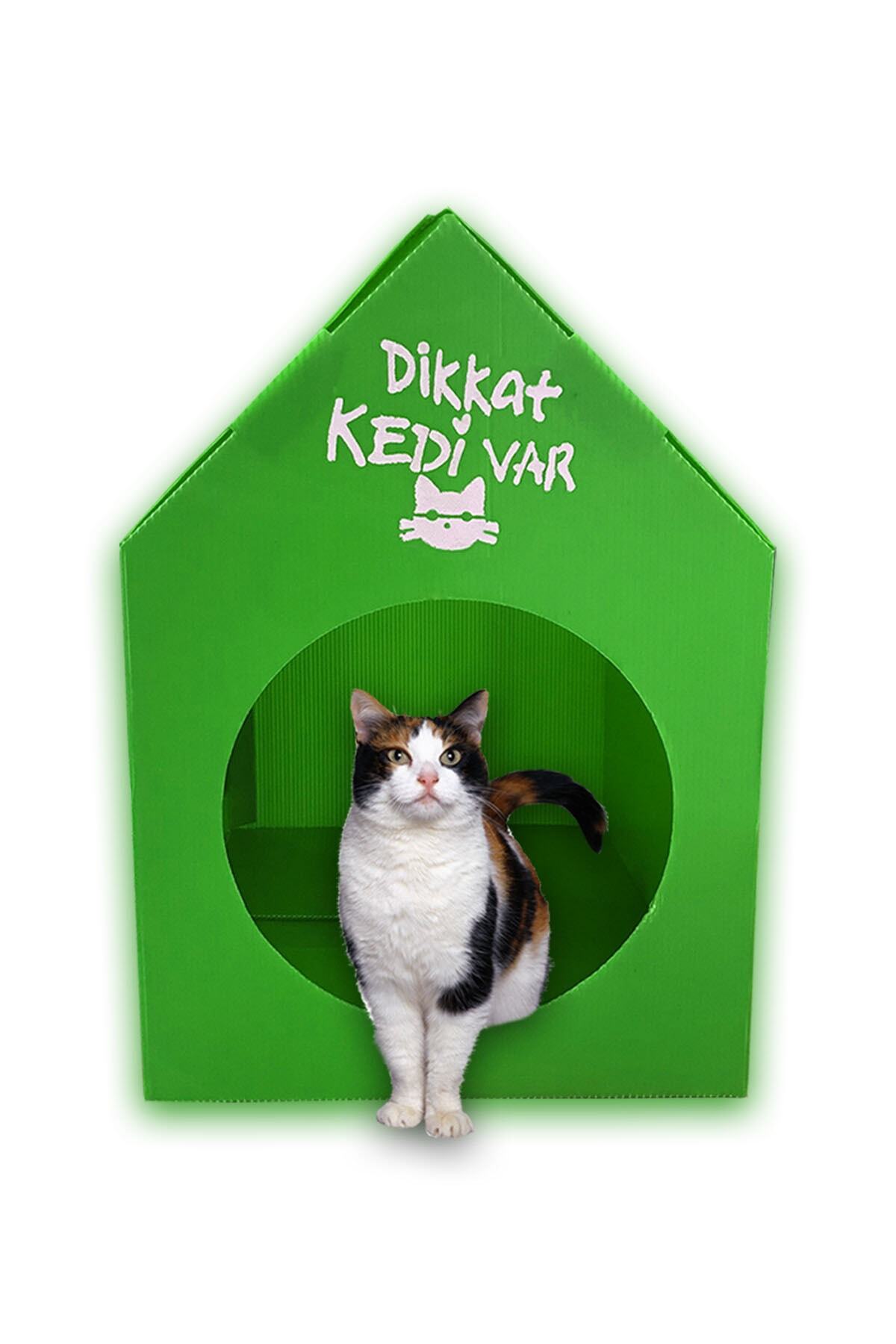 Pati Mama Plastik Desenli Kedi Evi Kedi Kulubesi Kedi Yuvasi Yesil Dikkat Kedi Var Fiyati Yorumlari Trendyol