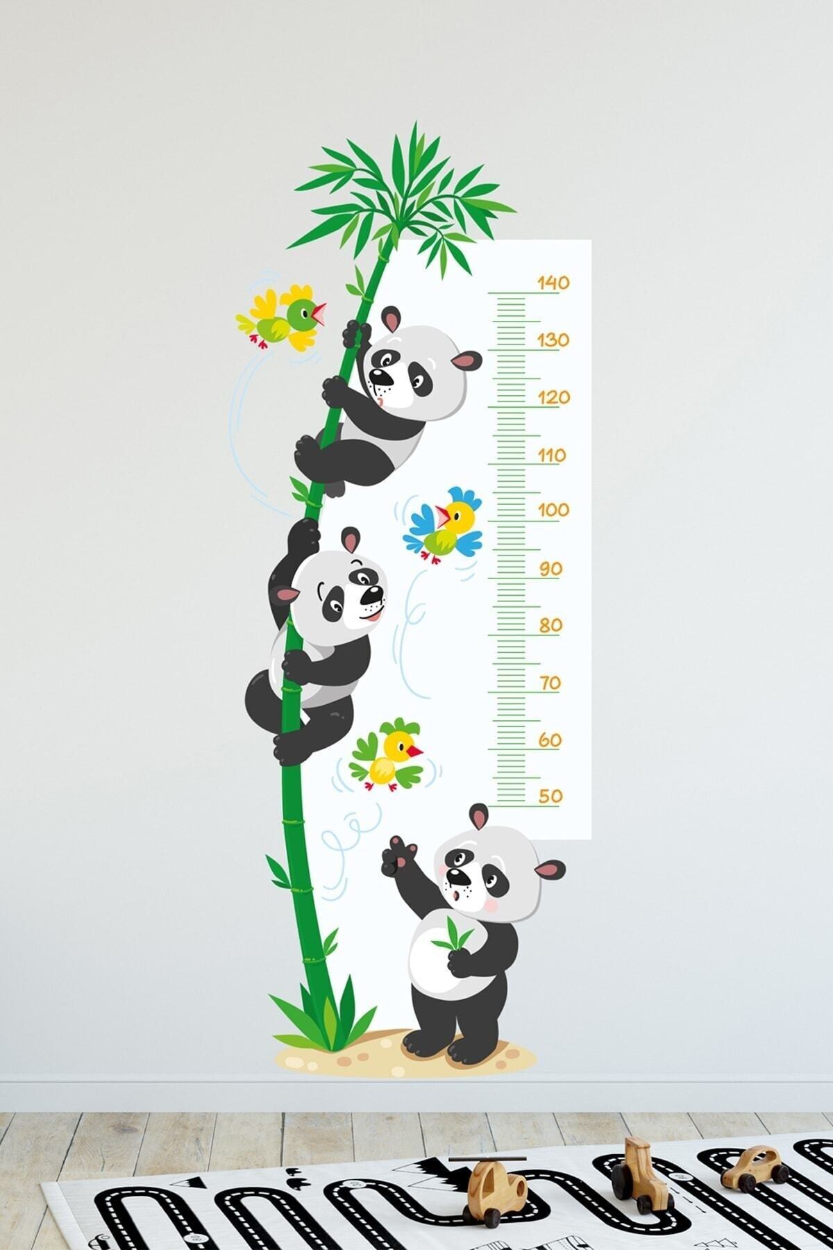 Şaşkın Pandalar Temalı Boy Ölçer Duvar Sticker