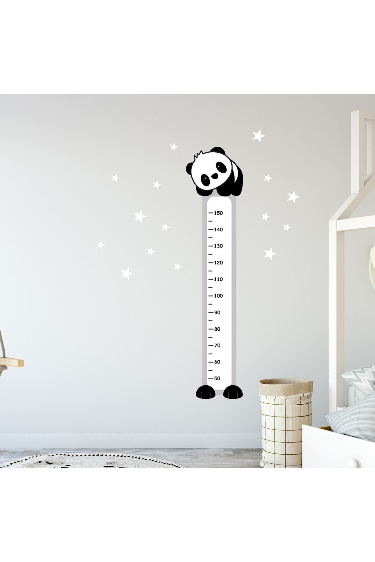 Panda Çocuk Boy Ölçer Duvar Sticker Renkli