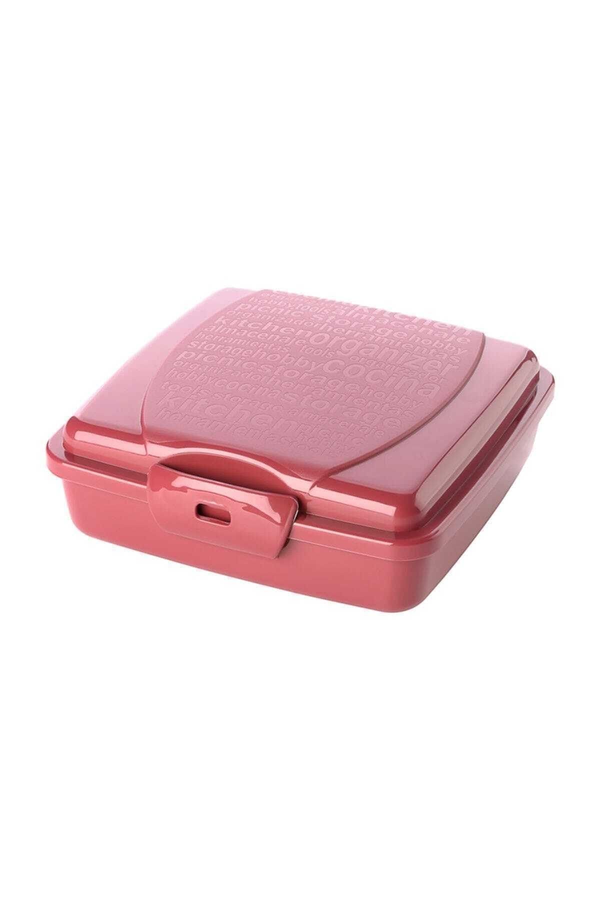 Titiz-Takeaway Lunch Box - Storage Container 550 Ml(SARIRENK) 1