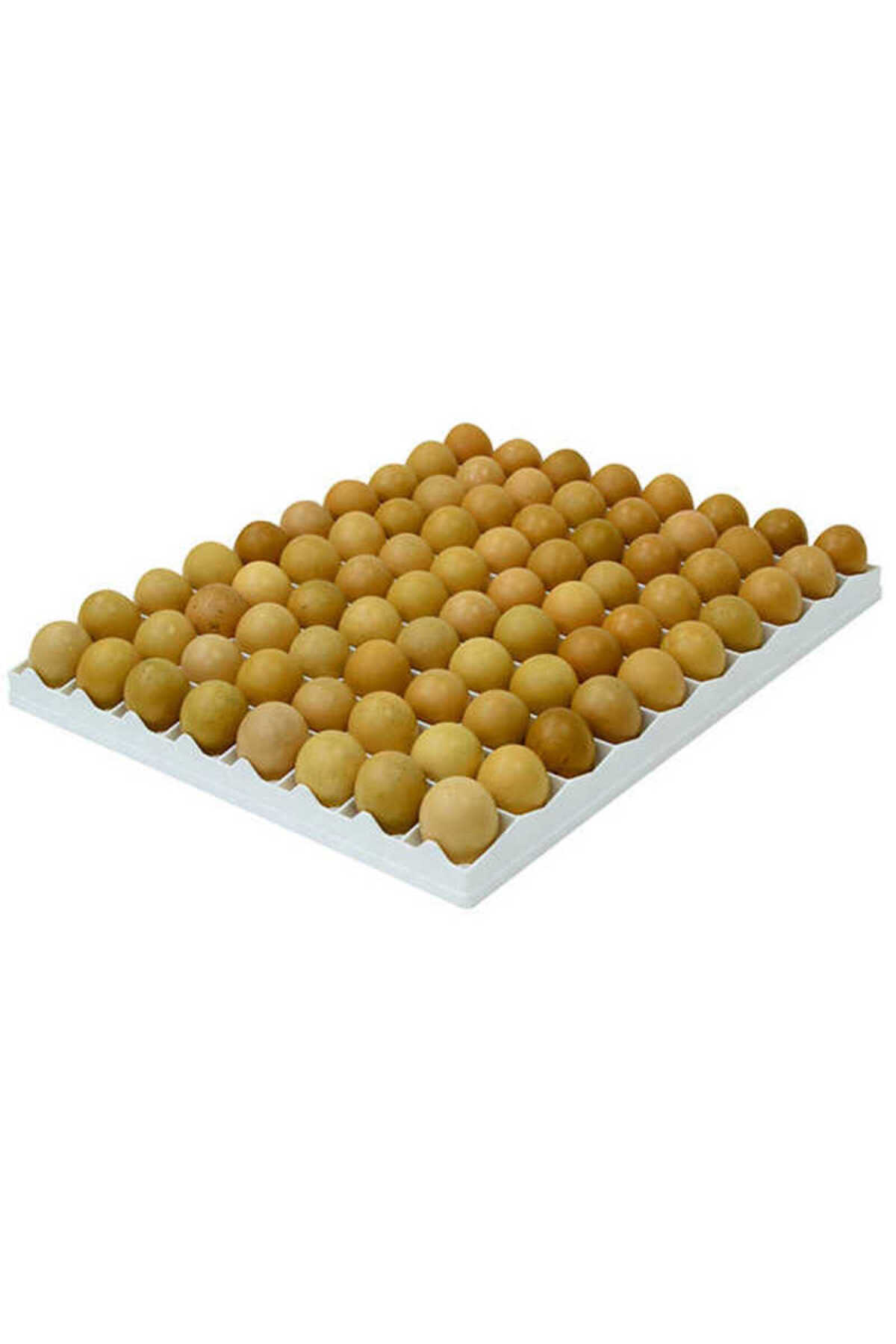 Cimuka TAVUK KULUÇKA GELİŞİM TABLASI 80 tavuk yumurtası (40X50 Cm)