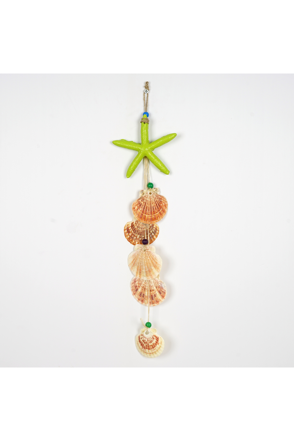 Decorative Shell Colored Star Wall ornament