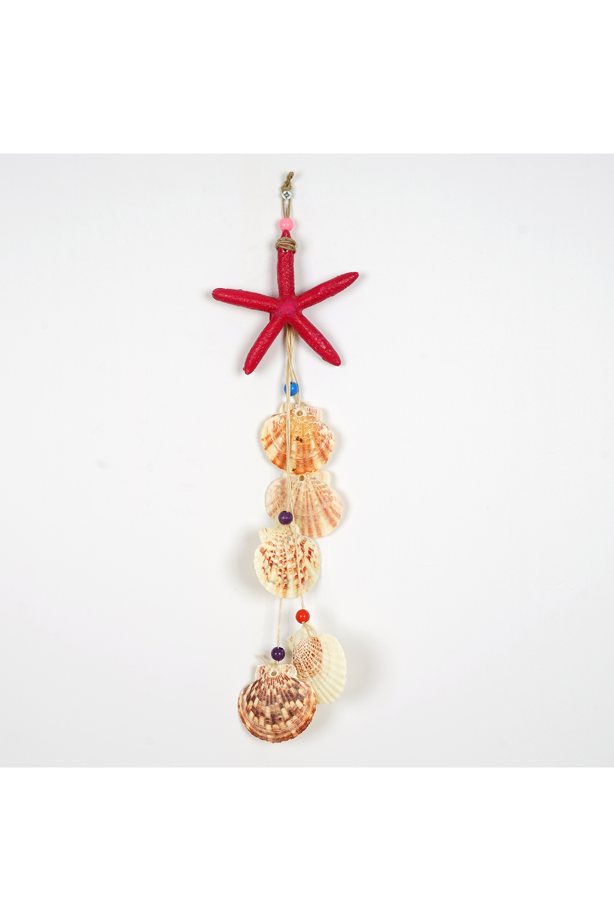 Decorative Shell Colored Star Wall ornament