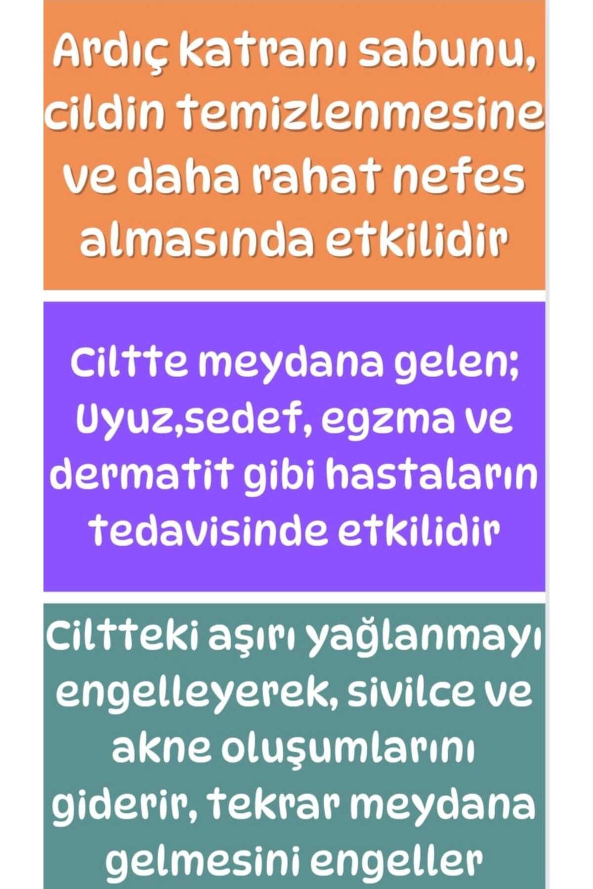 1 org zoom - ترند تهران