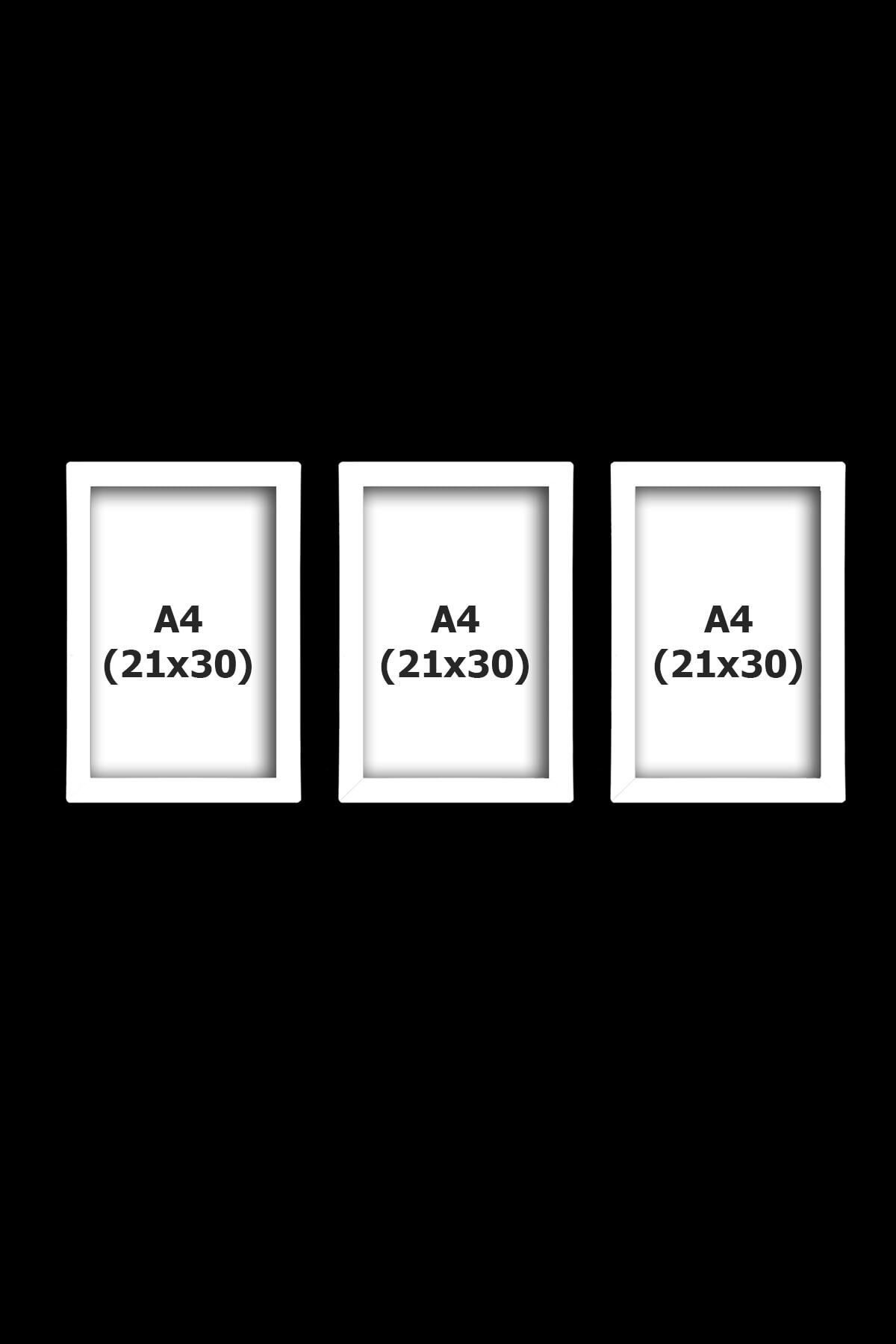bymat-3 Pieces 21x30 Frame - White Frame - A4 Frame - Diploma Frame - Mdf Multiple Photo Frame 4