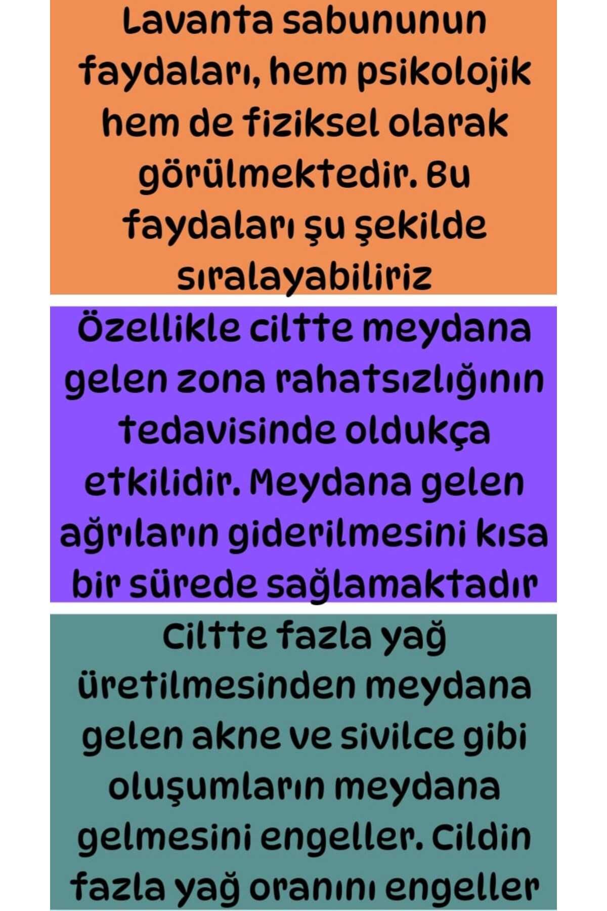 1 org zoom - ترند تهران