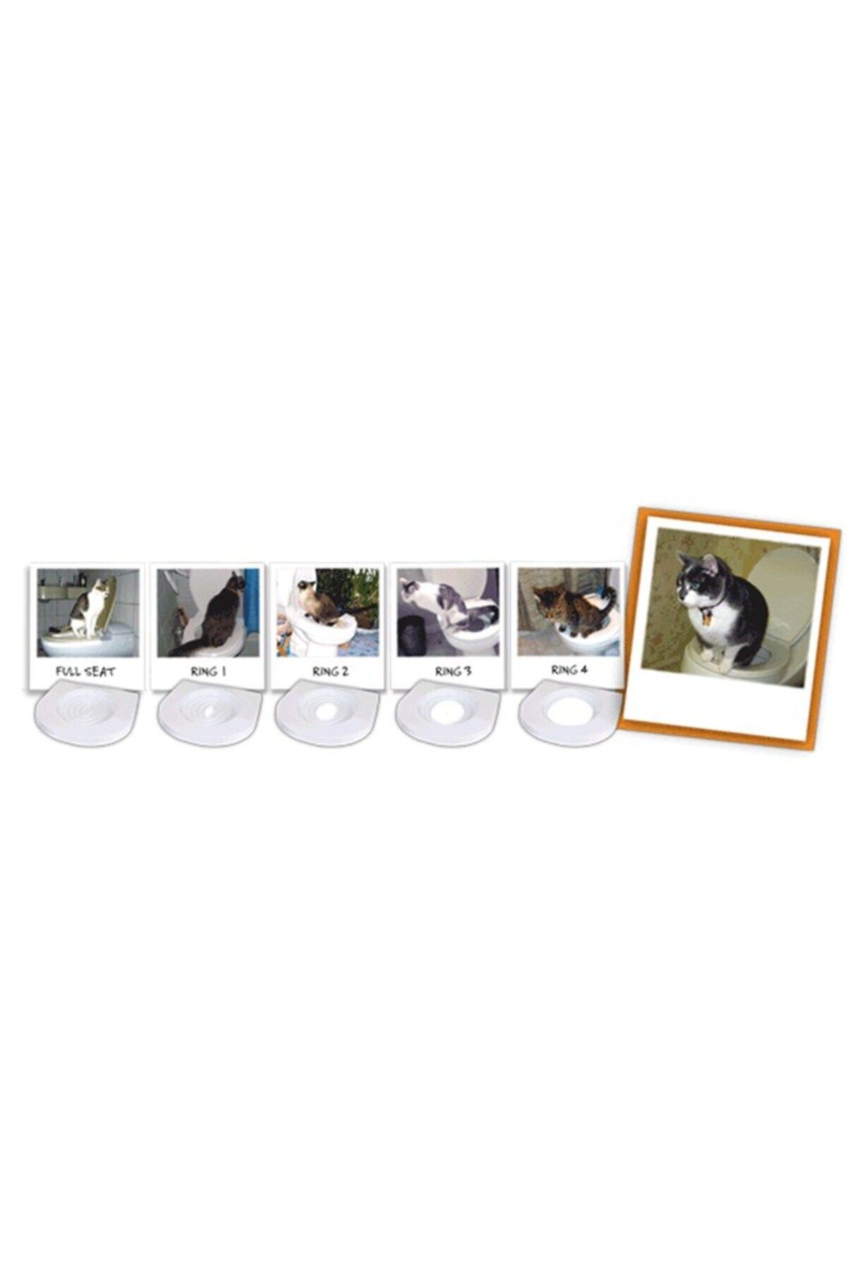 Citi Kitty Kedi Tuvalet Eğitim Seti Klozet Alıştırma Aparatı