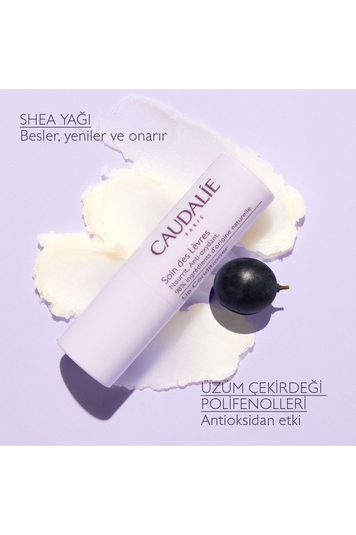 کرم مراقبت از لب Vinotherapist 4.5 G Caudalie